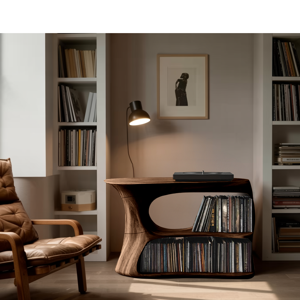 Farmhouse Record Cabinet For Entryway Organization