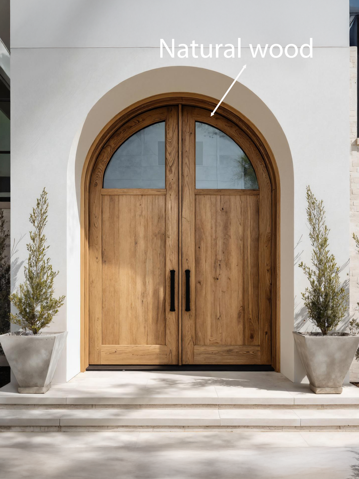 Modern Arched Double Front Door With Glass Panels For Entryway