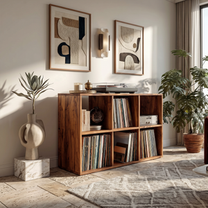 Mid Century Vinyl Record Storage Cabinet Modern Home