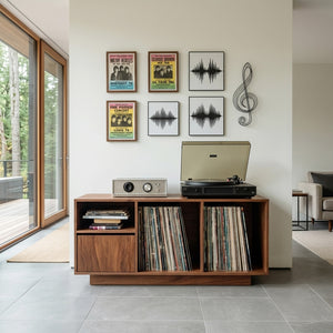Contemporary Turntable Record Cabinet For Living Room