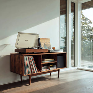 Modern Wooden Record Cabinet For Entertainment Room