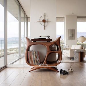 Organic Modern Wooden Record Player Cabinet For Living Room