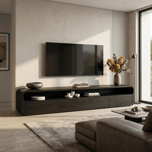 Modern Organic TV Console For Living Room