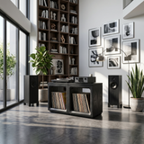 Coastal Minimalist Record Storage Cabinet Beach House
