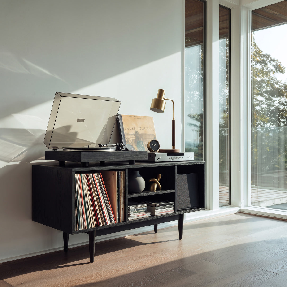 Modern Wooden Record Cabinet For Entertainment Room
