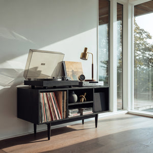 Modern Wooden Record Cabinet For Entertainment Room