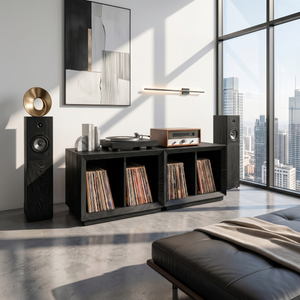 Contemporary Modular Vinyl Storage Cabinet Audiophile Lounge