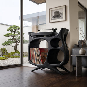 Organic Modern Wooden Record Player Cabinet For Living Room