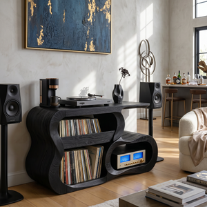 Contemporary Vinyl Record Cabinet For Studio Interior Space