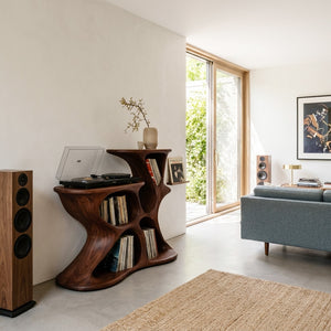 Modern Sculptural Vinyl Storage Cabinet For Living Room