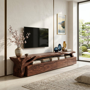 Modern TV Stand With Storage For Living Room