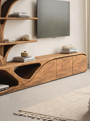 Organic TV Shelf With Tree Shape Bookshelf For Living Room