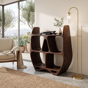 Elegant Sculptural Wooden Record Cabinet For Living Room
