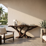 Organic Twisted Wood Console Table Contemporary Hallway
