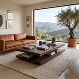 Elegant Wooden Coffee Table Two Layers For Living Room