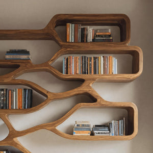 Modern Sculpted Bookcase For Living Room