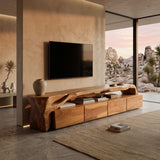 Modern TV Stand With Storage For Living Room
