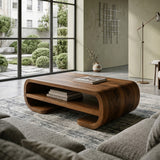 Contemporary Organic Coffee Table With Storage Shelf For Living