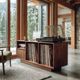 Contemporary Turntable Record Cabinet For Living Room