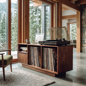 Contemporary Turntable Record Cabinet For Living Room