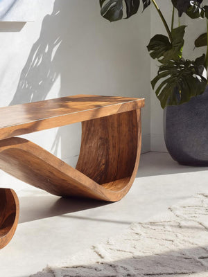 Organic Sculptural Bench For Entryway Or Living Room
