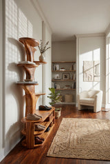SILDTTRSHB006SHBNA color brown
