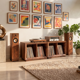 Contemporary Modular Vinyl Storage Cabinet Audiophile Lounge