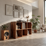 Mid Century Vinyl Record Storage Cabinet Modern Home