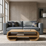 Contemporary Organic Coffee Table With Storage Shelf For Living