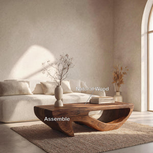 Modern Coffee Table Open Shelf Design For Living Room