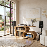 Contemporary Vinyl Record Cabinet For Studio Interior Space