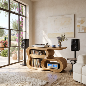 Contemporary Vinyl Record Cabinet For Studio Interior Space