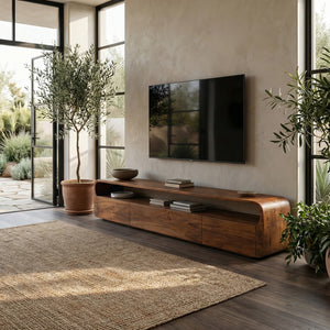 Modern Organic TV Console For Living Room