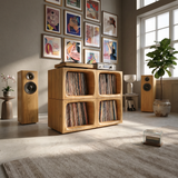 Modern Cube Record Storage Cabinet Luxury Music Room