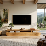 Contemporary TV Cabinet Functional Storage Drawers For Home