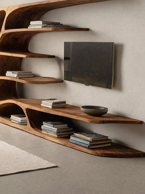 Modern Organic TV Display Shelf For Living Room