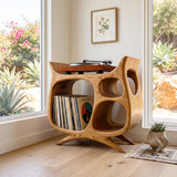 Organic Modern Wooden Record Player Cabinet For Living Room