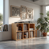 Mid Century Vinyl Record Storage Cabinet Modern Home