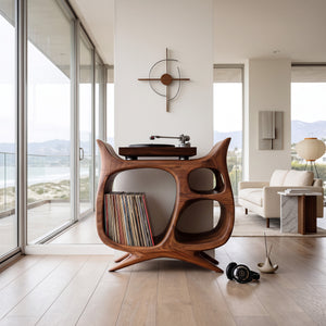 Organic Modern Wooden Record Player Cabinet For Living Room