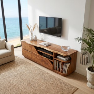 Organic Modern Media Console Vinyl Storage Cabinet