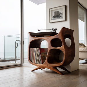 Organic Modern Wooden Record Player Cabinet For Living Room