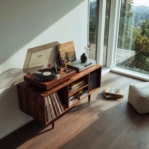Modern Wooden Record Cabinet For Entertainment Room