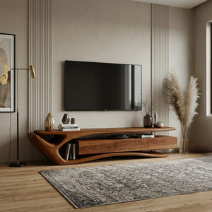 Contemporary TV Stand For Living Room