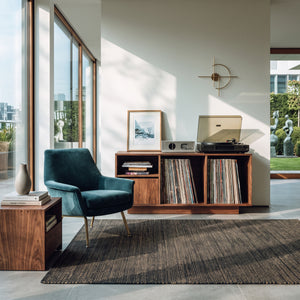 Contemporary Turntable Record Cabinet For Living Room
