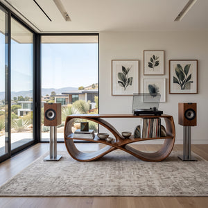 Modern Sculptural Wooden Record Player Console For Living Room