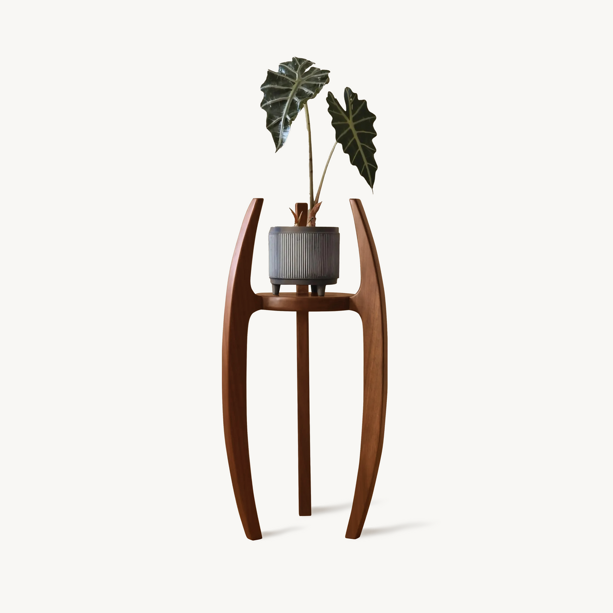Modern Indoor Plant Stand For Flower Pot Display