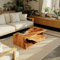 Modern Organic Live Edge Coffee Table For Living Room