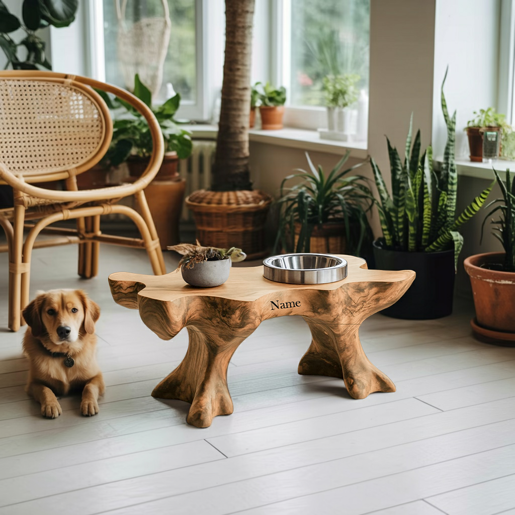 Farmhouse Raised Dog Bowl Holder For Easy Feeding