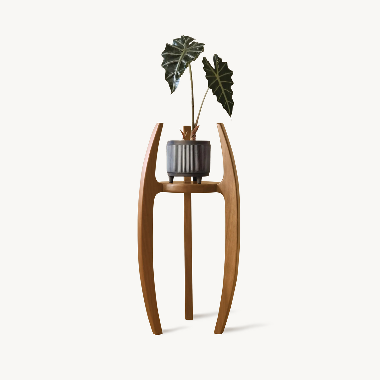 Modern Indoor Plant Stand For Flower Pot Display