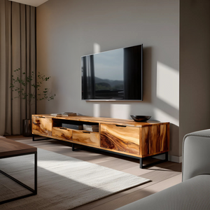 Modern TV Stand With Functional Storage For Living
